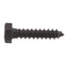 Lag Bolt 5/16 in. x 1-1/2 in. Hex Head Black Exterior (25-Pack) 3