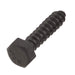Lag Bolt 5/16 in. x 1-1/2 in. Hex Head Black Exterior (25-Pack) 2