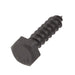 Lag Bolt 1/4 in. x 1 in. Hex Head Black Exterior (25-Pack) 2