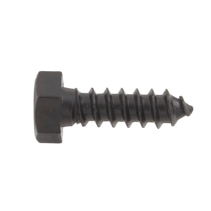 Lag Bolt 5/16 in. x 1 in. Hex Head Black Exterior (25-Pack) 3