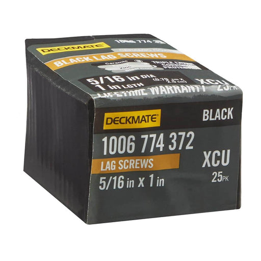 Lag Bolt 5/16 in. x 1 in. Hex Head Black Exterior (25-Pack)