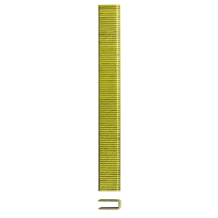 Carpet Staples 9/16 in. Leg x 1/2 in. Crown 20-Gauge Galvanized (5000-Box)