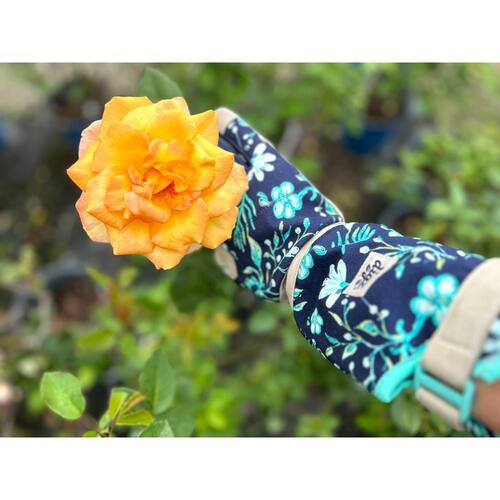 Garden Gloves Women's Large Long Cuff