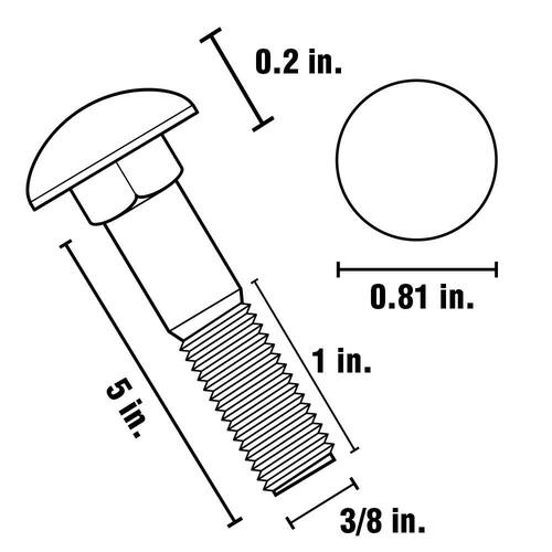 Carriage Bolt 3/8 in.-16 x 5 in. Stainless Steel