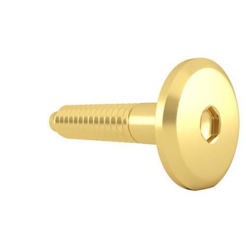 Connecting Bolt 1/4 in. x 1-3/16 in. Narrow Brass