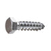 Lag Bolt 1/4 in. x 1 in. Hex Head Zinc Plated (100-Pack)