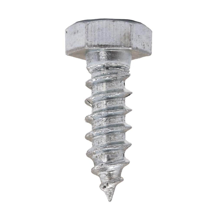 Lag Bolt 5/16 in. x 1 in. Hex Head Zinc Plated (50-Pack) 3