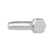 Lag Bolt 5/16 in. x 2 in. Hex Head Zinc Plated (50-Pack) 4