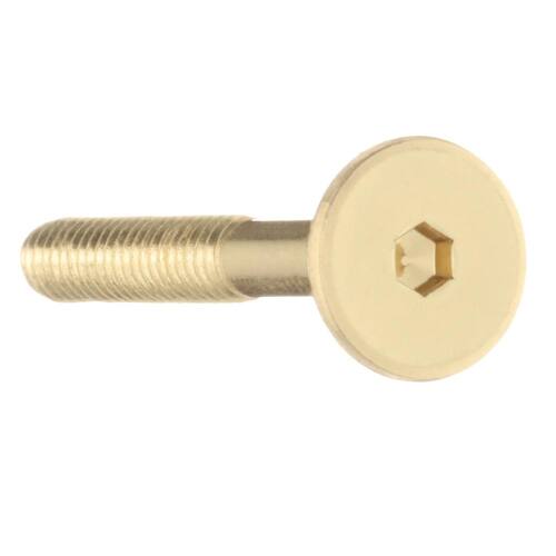 Narrow Shank Hex-Drive Connecting Bolt 1/4 in. x 1-15/16 in. Brass-Plated 4-Piece