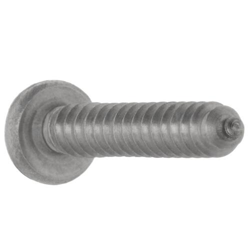 Sheet Metal Screws #10 1-1/4 in Pan Head Phillips Stainless (25-Pack)