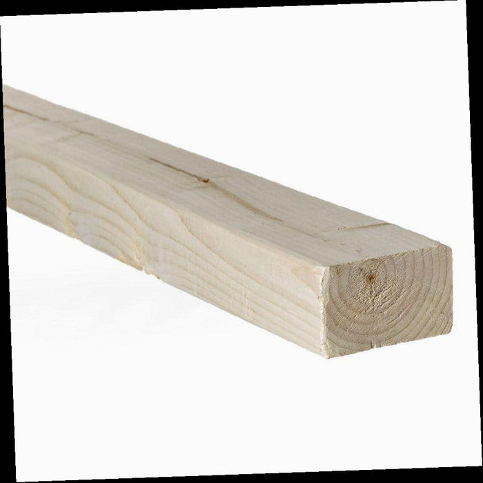 Select Whitewood Stud 2 in. x 3 in. x 96 in.