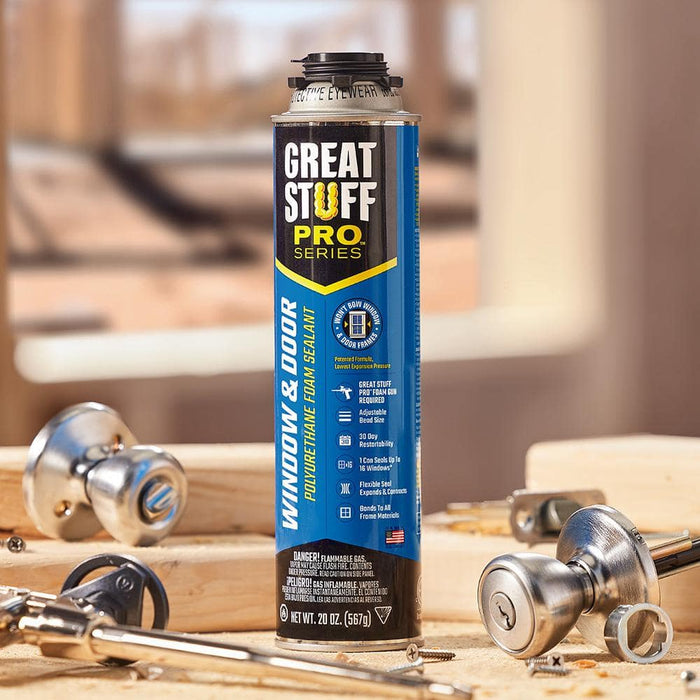 Spray Foam Insulation R-2 Pro Windows and Doors 10 sq. ft. 20 oz. 2