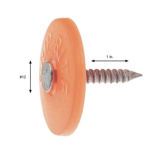 Roofing Nails 2D #12 x 1 in. Electro-Galvanized Steel with Plastic Cap  280 pcs