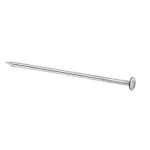 Steel Tile Nails Electro-Galvanized  #8 x 5-1/2 in. 5 lb