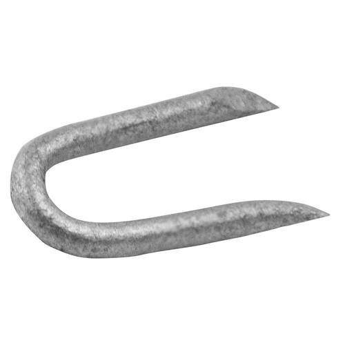 Galvanized Staples 3/4 in. Hot-Dip (1 lb.-Pack)