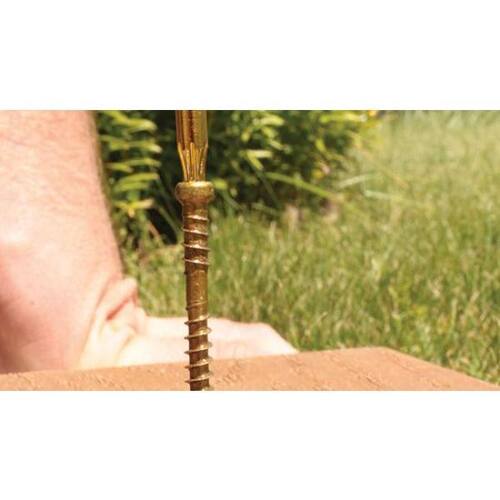 Composite Screw 8 in. x 2-1/2 in. Star Drive Trim-Head 390 Per Pack