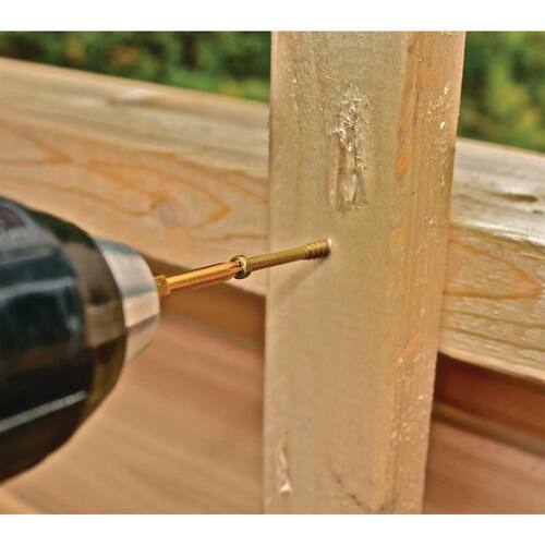 Wood Deck Finish Screw #8 x 3-1/8 in. Star Drive Trim-Head (300-Per Pack)