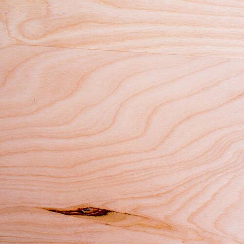 Hardwood Plywood Birch 1/2 in. x 2 ft. x 4 ft. Grade B/C