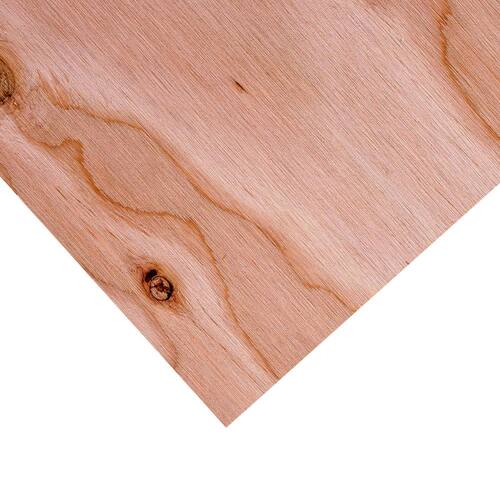 Sanded Plywood BCX 11/32 in. x 4 ft. x 8 ft  Grade C4