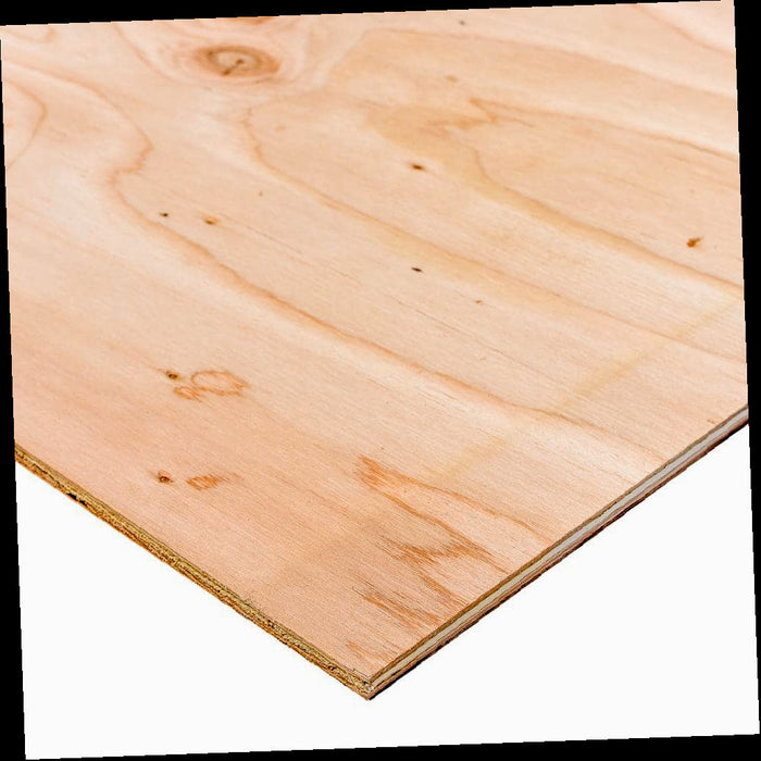 BCX Sanded Plywood 1/2 in. x 2 ft. x 4 ft., Actual: 0.451 in. x 23.75 in. x 47.75 in.