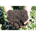 Organic Garden  Soil 2 cu.ft  Amend for Flowers and Vegetables Kellogg 6