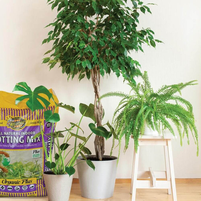 organic soil for indoor plants Organic Garden Soil 8 Qt. All Natural Indoor Potting Mix Kellogg