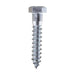 Lag Bolt 3/8 in. x 2 in. Hex Head Zinc Plated (25-Pack) 2