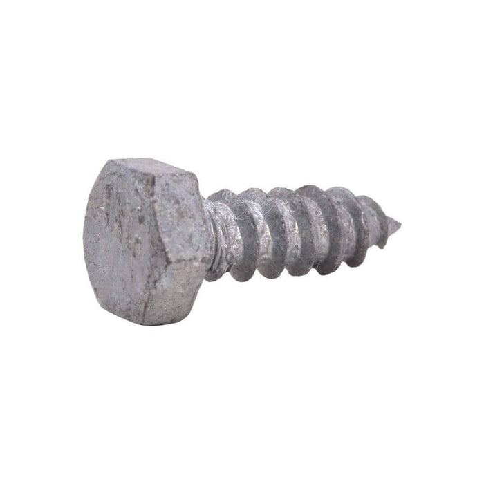 Lag Bolt 5/16 in. x 1 in. Hex Head Galvanized (25-Pack) 2