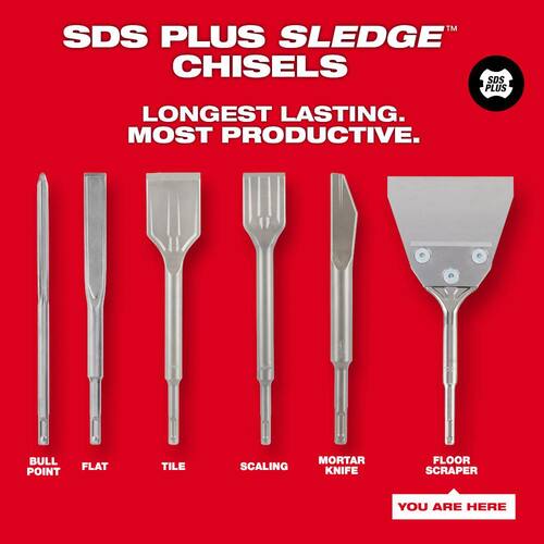 SLEDGE SDS-PLUS Floor Scraper, 5 in. x 10 in.