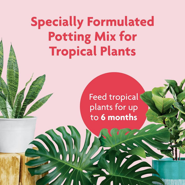 Potting Mix 6 Qt. Tropical Soil Miracle-Gro 2