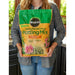 Potting Mix 8 Qt.  Soil for Cactus, Palm and Citrus Miracle-Gro 3