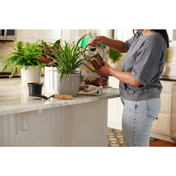 Potting Mix 16 Qt. Indoor Soil Blended for a Wide Variety of Houseplants, Feeds up to 6 Months Miracle-Gro 5