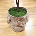 Sheet Moss Soil Cover 325 sq.in ML0464 5