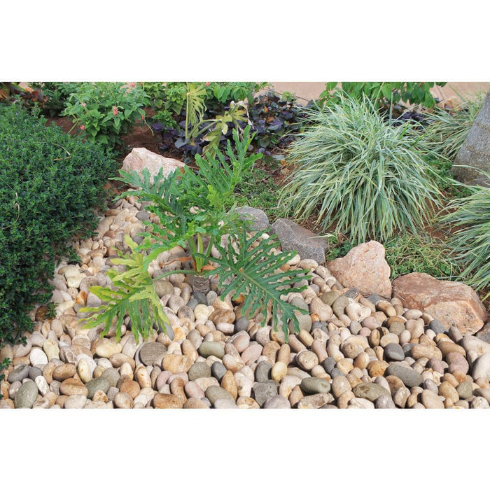 Landscape Pebbles 1 in. - 2 in. (Bagged: 0.4 cu.ft., 30 lbs.) Dorado 2