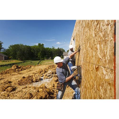 OSB 7/16 in x 4 ft x 8 ft Sheathing Panel