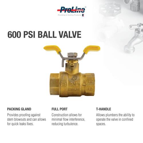 Brass Ball 3/4 in. FIP x FIP PSI-600