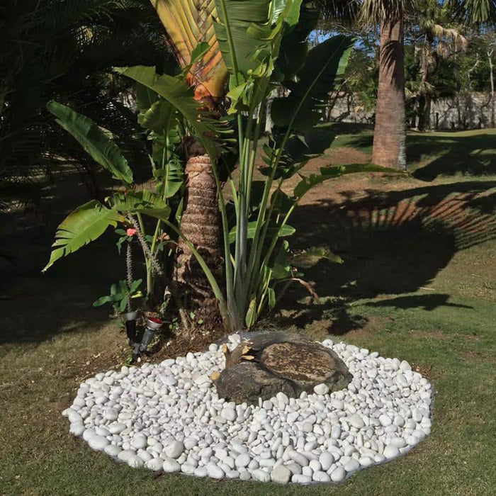 Landscape Pebbles 3 in. - 5 in. (Bagged: 0.4 cu.ft., 30 lbs.)  Large Egg Rock Caribbean Beach 6