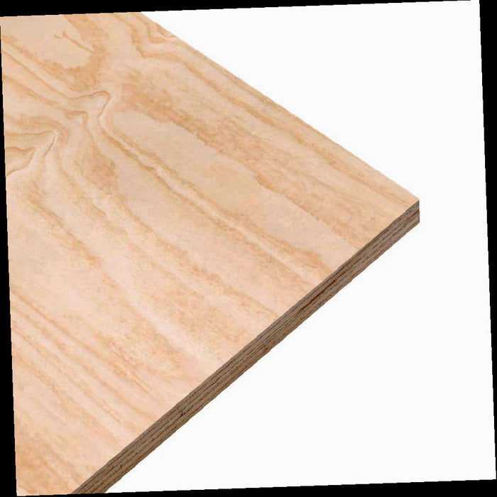 ACX Radiata Pine Sanded Plywood Panel 15/32 in. x 4 ft. x 8 ft.