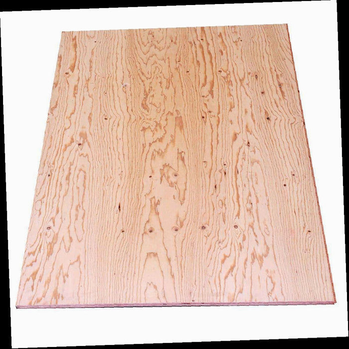T&G Sheathing Plywood Common: 19/32 in. x 4 ft. x 8 ft., Actual: 0.563 in. x 48 in. x 96 in.