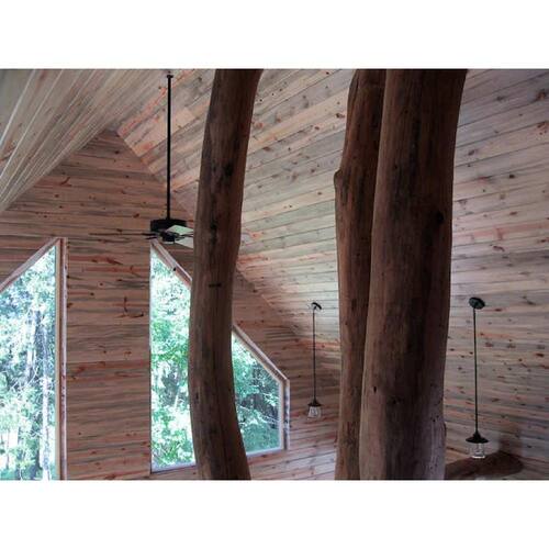 T&G Siding 5/8 in. x 6 in. x 8 ft. Blue Stain Pine 4