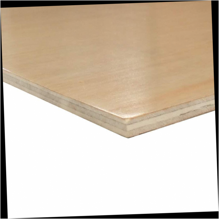 Hardwood Plywood Birch 1 Side Prefinished 1/4 in. x 4 ft. x 8 ft. Grade C2