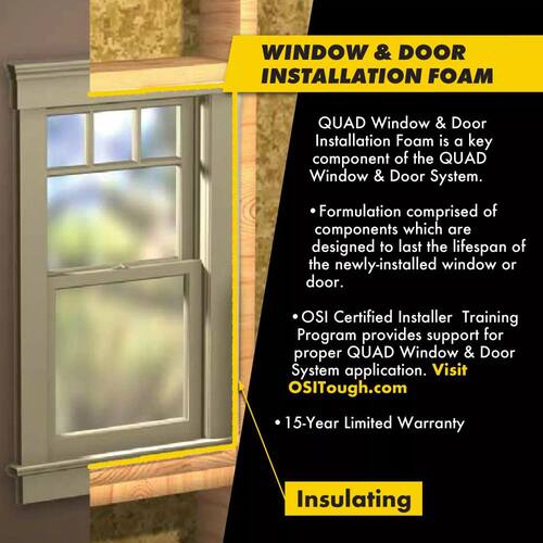 Window and Door Installation Foam, QUAD, 16 fl. oz. (each)