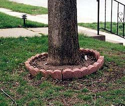 Tree Ring 24 in. x 5-1/4 in. Red Concrete (3-Pack)
