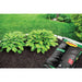 Wood Mulch Black 2 cu.ft. Premium Shredded Bagged Vigoro 4