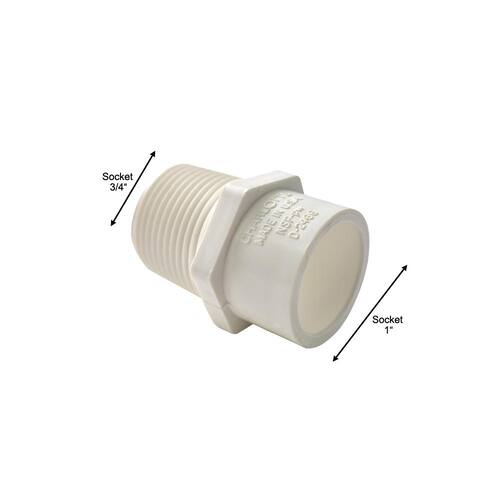 PVC Reducer Male Adapter Sch. 40 3/4 in. x 1 in. MPT x S