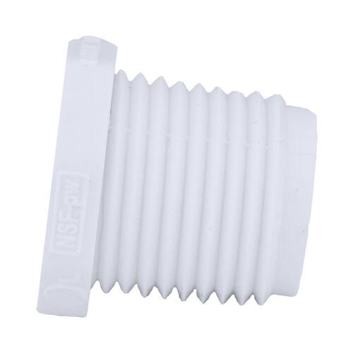 PVC Plug Schedule 40 1/2 in.