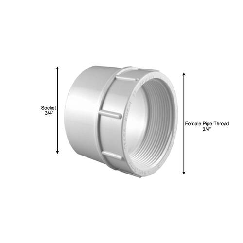 PVC Female S x FPT Adapter Schedule 40 3/4 in.