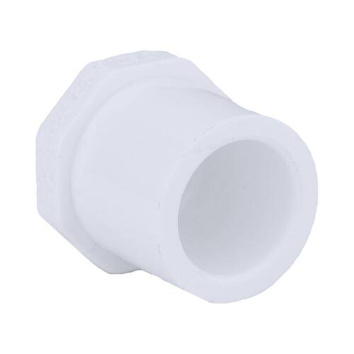 PVC Plug 3/4 in. Schedule 40 SPG