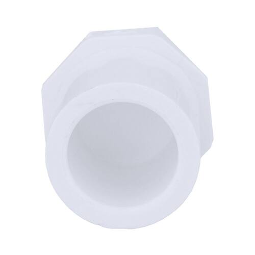 PVC Plug 3/4 in. Schedule 40 SPG