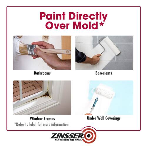 Interior/Exterior Primer, Mold Killing, 1 gal.